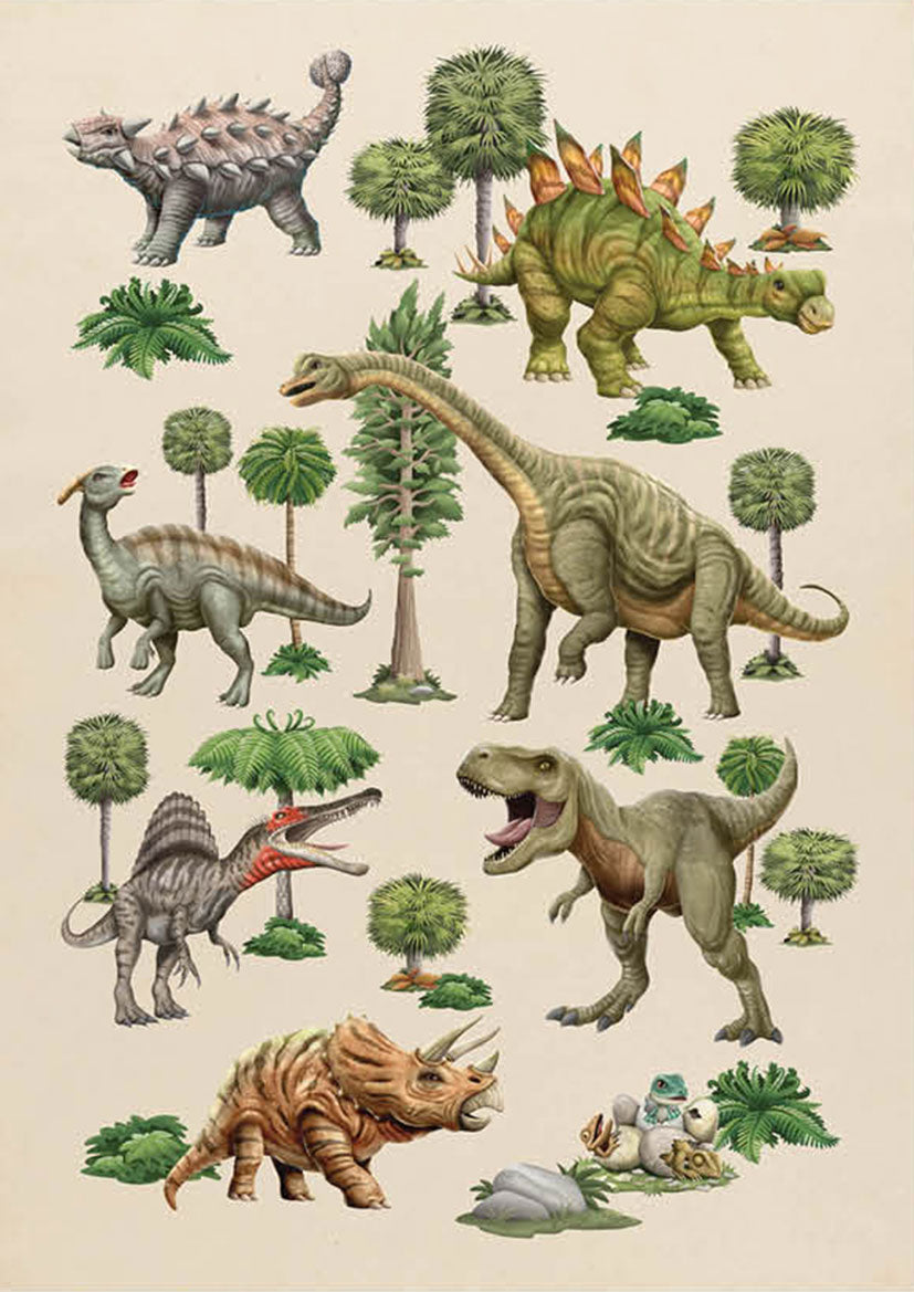 Realistic Dinosaurs Print – Kids Posters Australia