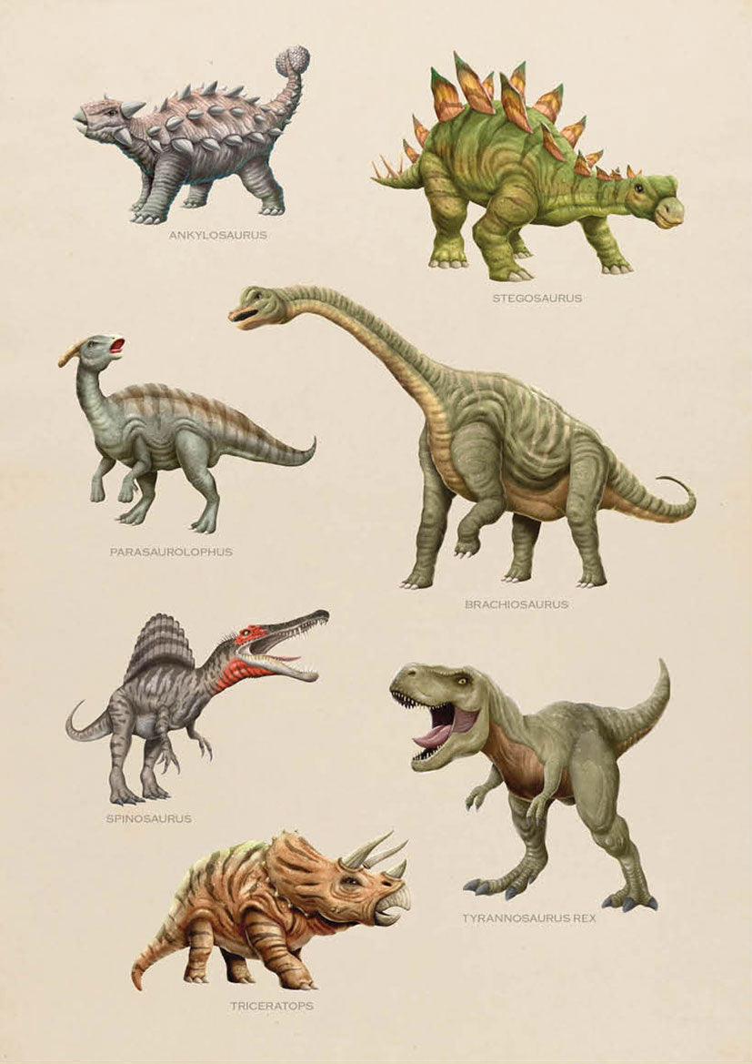 Realistic Dinosaurs Print with Names – Kids Posters Australia